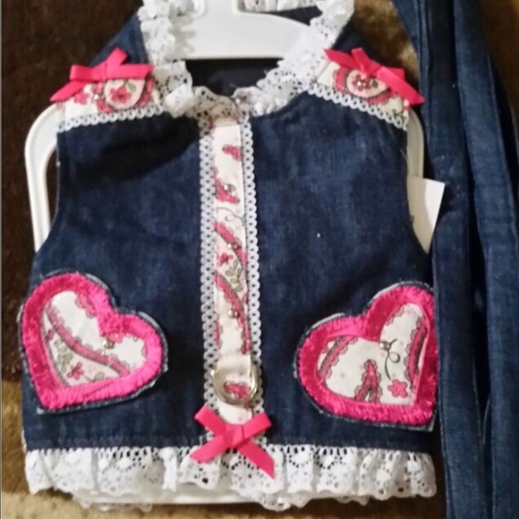 BNWT dog harness with matching leash - Picture 1 of 4