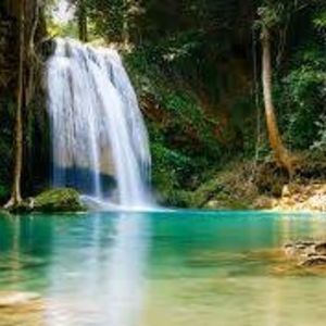 Meet your Posher, Krystal