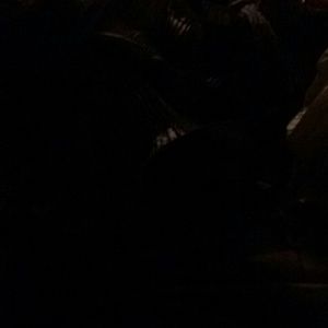 Meet your Posher, Terrilyn