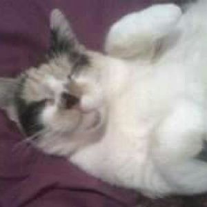 Meet your Posher, Briana