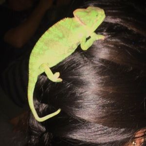 Meet your Posher, Katy