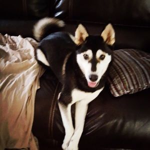 Meet your Posher, Kallista