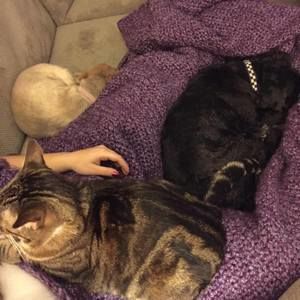 Meet your Posher, Lori