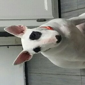 Meet your Posher, Alejandro