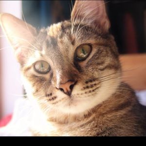 Meet your Posher, Corynn