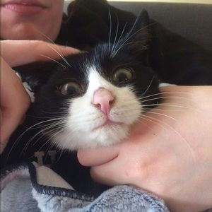 Meet your Posher, Justine