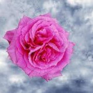 Meet your Posher, Catherine's