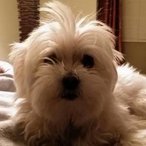 Meet your Posher, Caroline