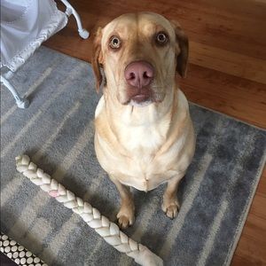 Meet your Posher, Megan