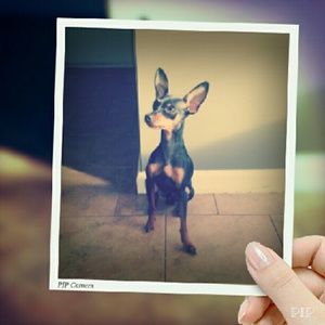 Meet your Posher, Myriah