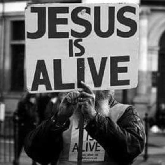 Meet your Posher, Miss - Picture 1 of 1