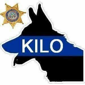 Meet your Posher, Terry