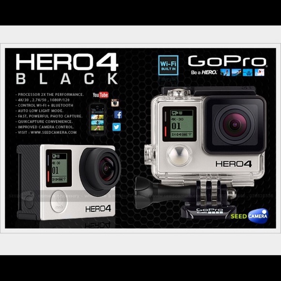 Meet your Posher, Maddie - Picture 1 of 1