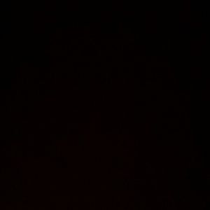 Meet your Posher, Jan