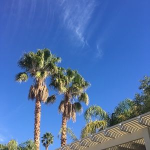 Meet your Posher, Li