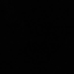 Meet your Posher, Maiya