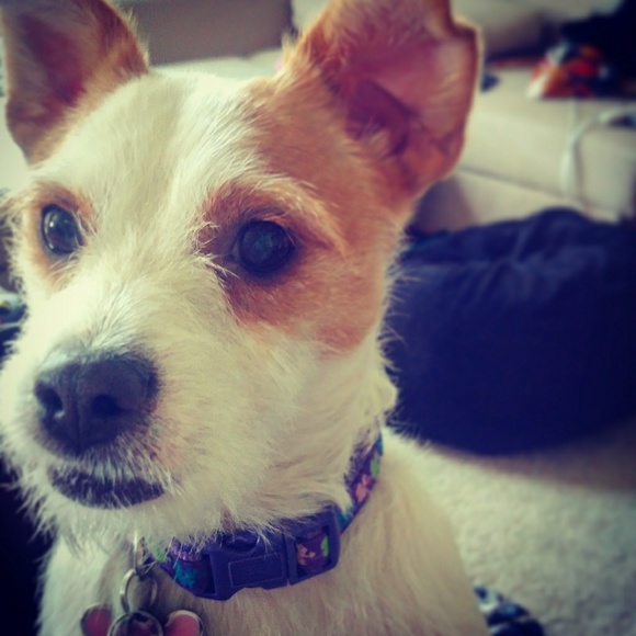 Meet your Posher, Laur - Picture 2 of 2