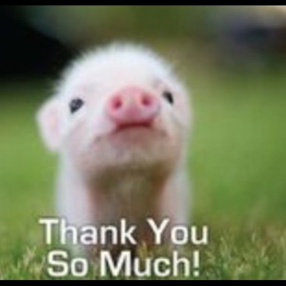 THANK-YOU!!🐷🐽