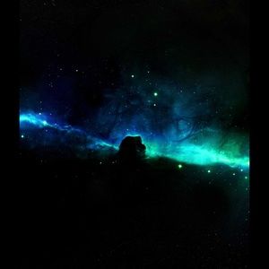 Meet your Posher, Chrissy