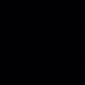 Meet your Posher, Sandy