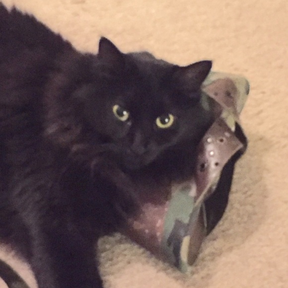 Meet your Posher, Rachel - Picture 3 of 3