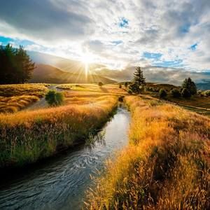 Meet your Posher, Md