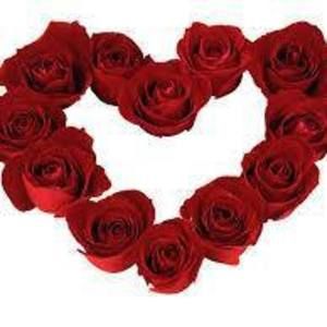 Meet your Posher, Noelle