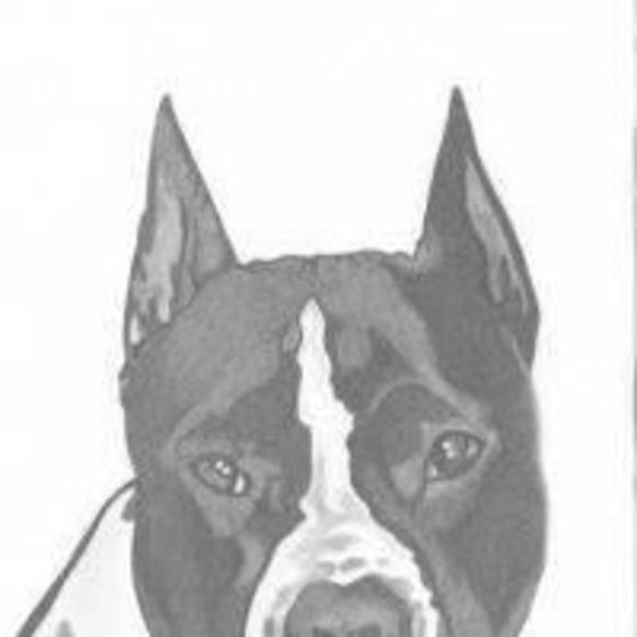 Meet your Posher, Nicole - Picture 1 of 1