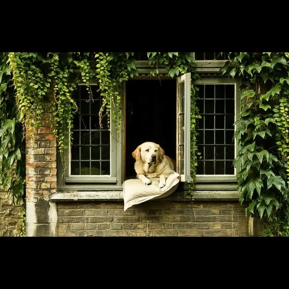 Meet your Posher, Sheri