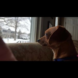 Meet your Posher, Ashley