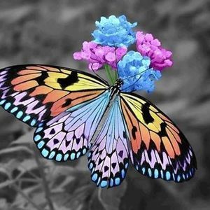 Meet your Posher, Lara