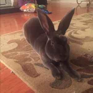 Meet your Posher, Laura beth