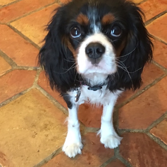 Meet your Posher, Natty