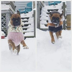 Meet your Posher, Karen