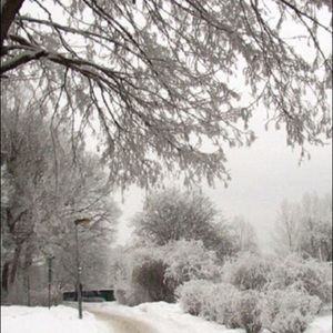 Meet your Posher, Harold