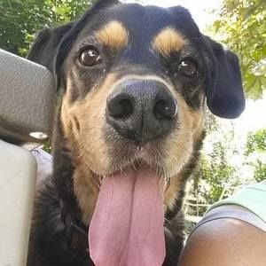 Meet your Posher, Liz