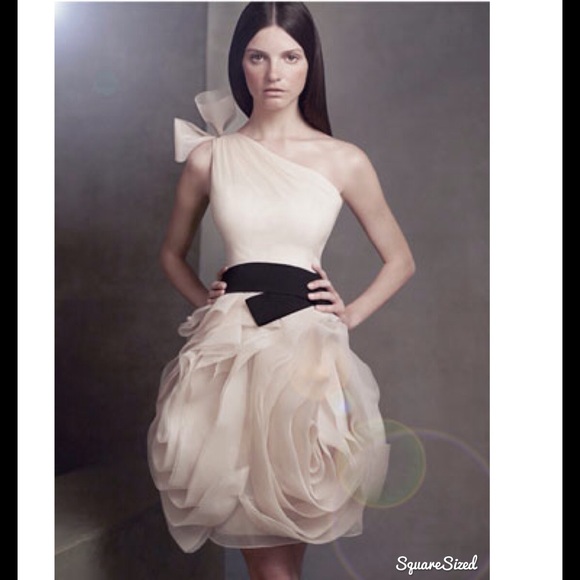 Vera Wang One shoulder Organza dress