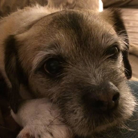 Meet your Posher, Patrick