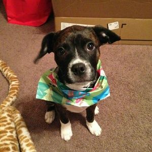 Meet your Posher, Jennifer