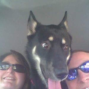 Meet your Posher, Julie