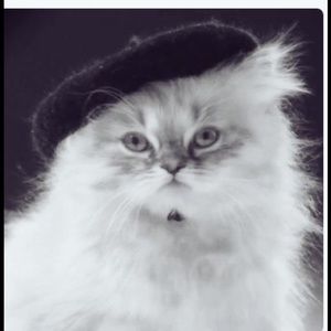 Meet your Posher, Dianne