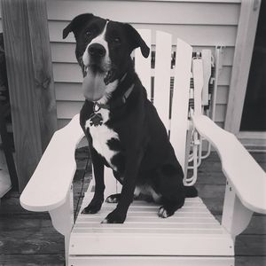 Meet your Posher, Alison