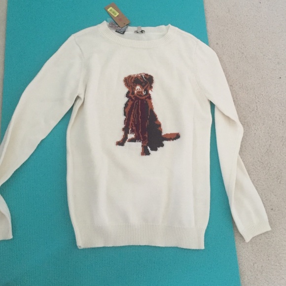 Dog sweater