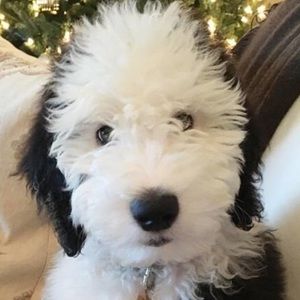 Meet your Posher, Kay