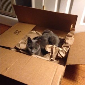 Meet your Posher, Aften