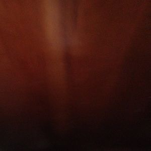 Meet your Posher, Kyra