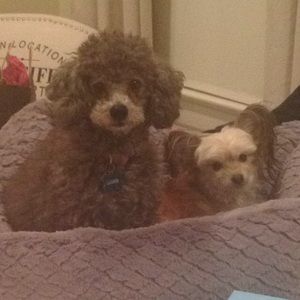 Meet your Posher, Leeann