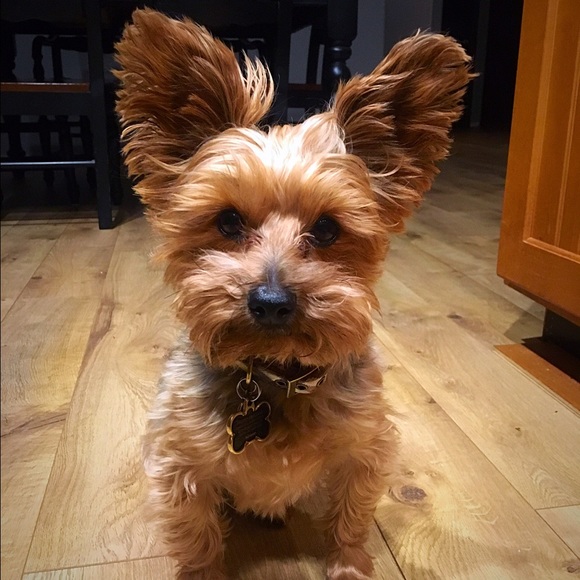 Hi! I'm Crystal Lavery - Picture 7 of 7