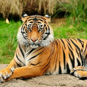 Meet your Posher, Lawrence