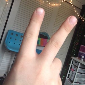 Meet your Posher, Joey